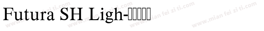 Futura SH Ligh字体转换